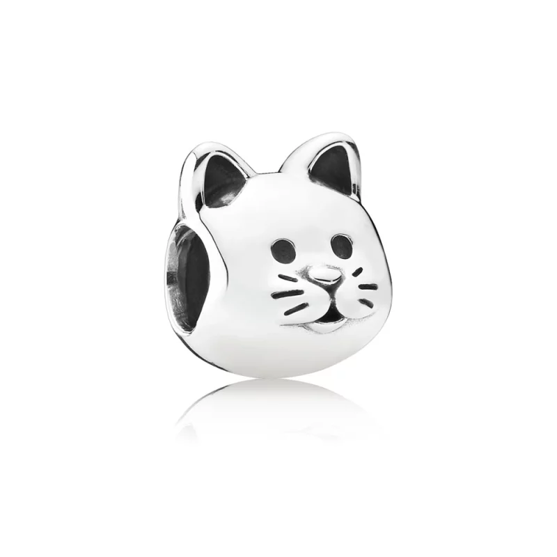 (image pour) Charm Chat Curieux - 791706