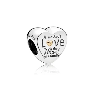 (image pour) Charm Cœur de la Famille - 796265