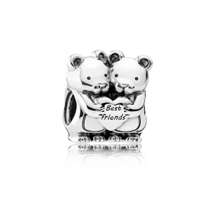 (image pour) Charm Meilleures Amies - 792151
