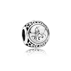 (image pour) Charm Verseau - 791934