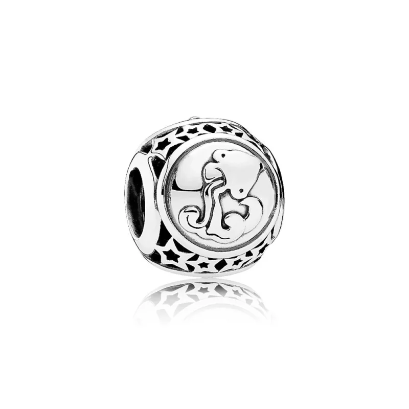 (image pour) Charm Verseau - 791934