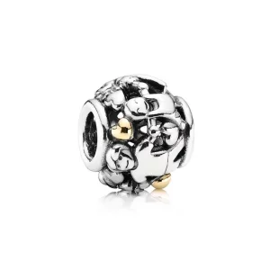(image pour) Famille pour toujours PANDORA France - 791040