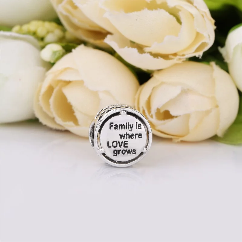 (image pour) Hommage Familial, charm PANDORA France - 797590 - Afficher 3