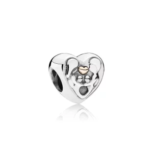 (image pour) PANDORA - Charm Coeur de la famille - 791771