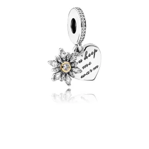 (image pour) PANDORA - Charm Pendentif Cœur Flocon de Neige - 792012CZ