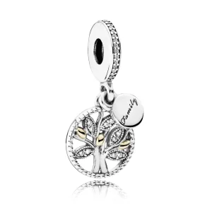 (image pour) PANDORA - Charm Pendentif Héritage Familial - 791728CZ
