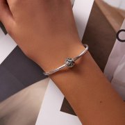 Charme Serpent Esprit Rétro Style Pandora - SCC2135