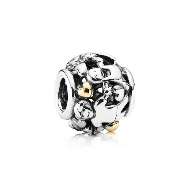 Famille pour toujours PANDORA France - 791040