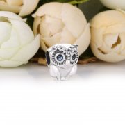 Charm PANDORA Chouette Scintillant 798397NBCB