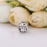 Famille pour toujours PANDORA France - 791040