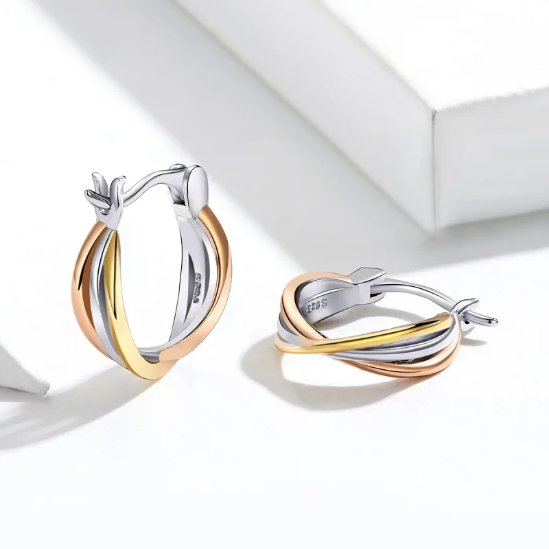 (image pour) Clous d'Oreilles Style PANDORA Bicolore - SCE719 - Afficher 2