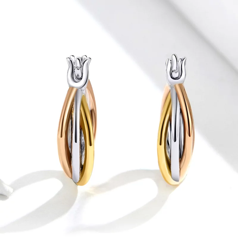 (image pour) Clous d'Oreilles Style PANDORA Bicolore - SCE719 - Afficher 4