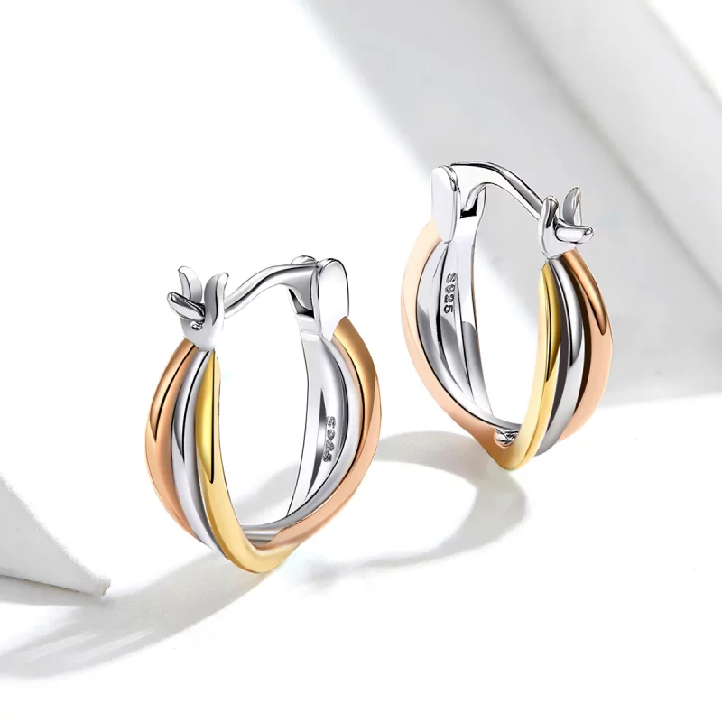 (image pour) Clous d'Oreilles Style PANDORA Bicolore - SCE719 - Afficher 5