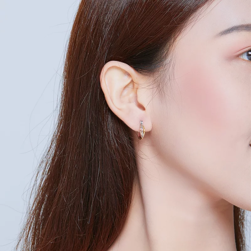 (image pour) Clous d'Oreilles Style PANDORA Bicolore - SCE719 - Afficher 6