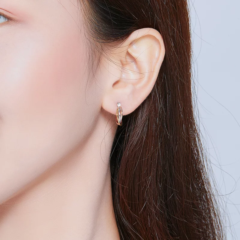 (image pour) Clous d'Oreilles Style PANDORA Bicolore - SCE719 - Afficher 7