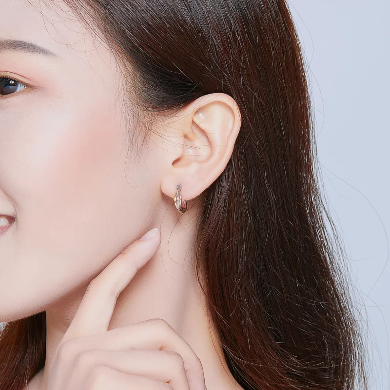 (image pour) Clous d'Oreilles Style PANDORA Bicolore - SCE719 - Afficher 8