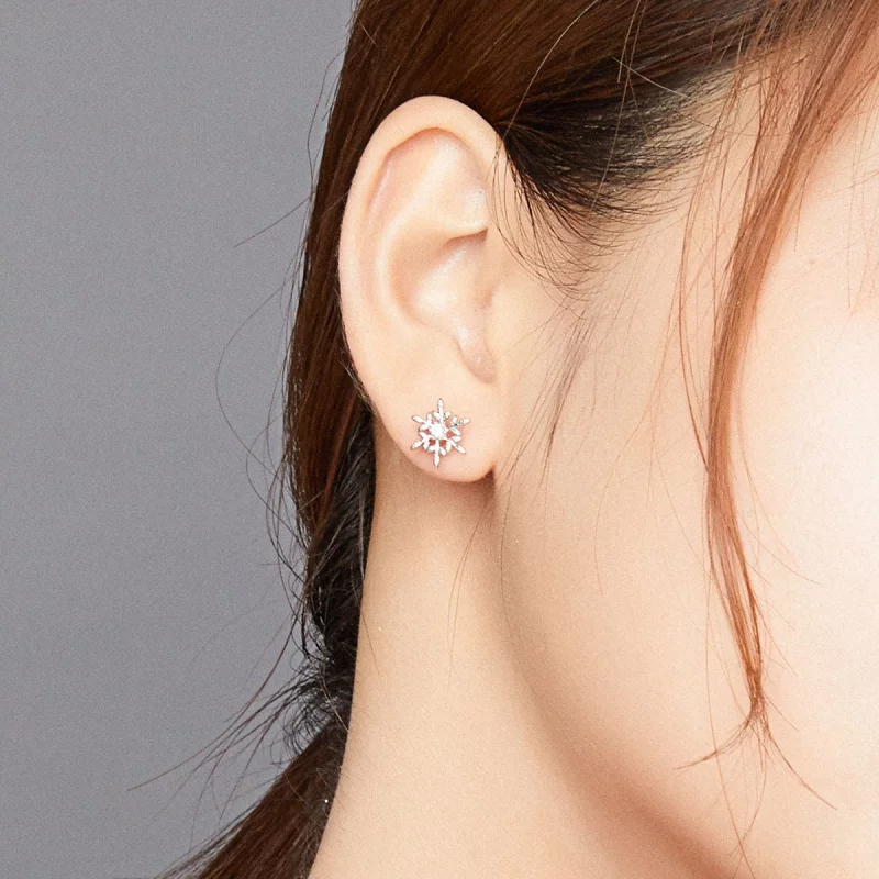 (image pour) Clous d'Oreilles Style PANDORA Flocons de neige romantiques - BSE424 - Afficher 8