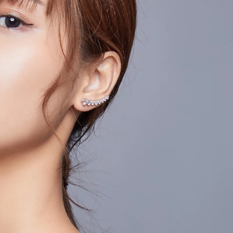 (image pour) Clous d'Oreilles Style PANDORA Lumière brillante - SCE920 - Afficher 6
