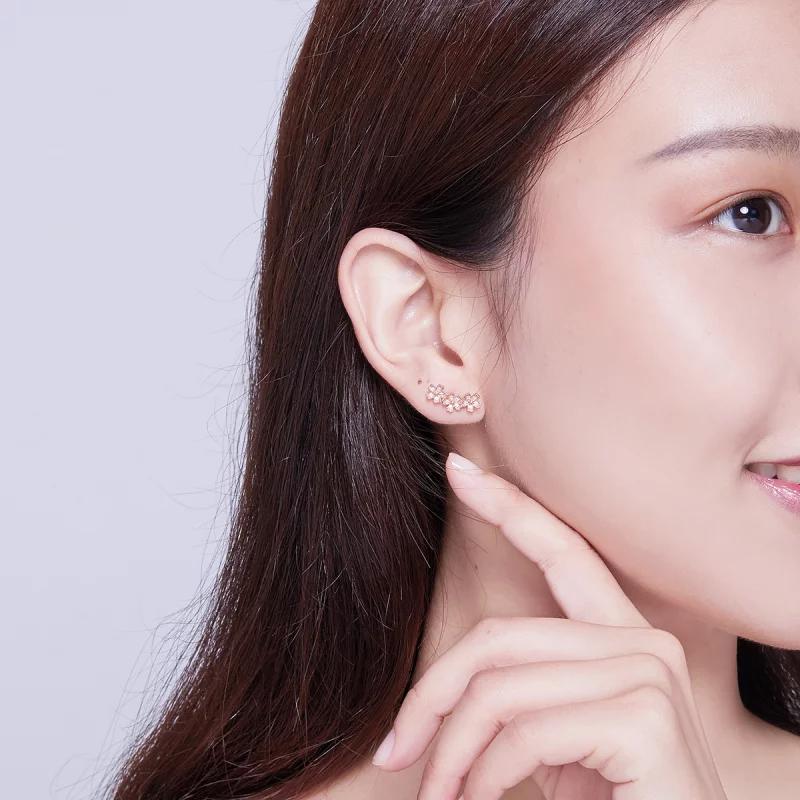 (image pour) Clous d'Oreilles Style PANDORA Marguerite contractée - SCE419-C - Afficher 4