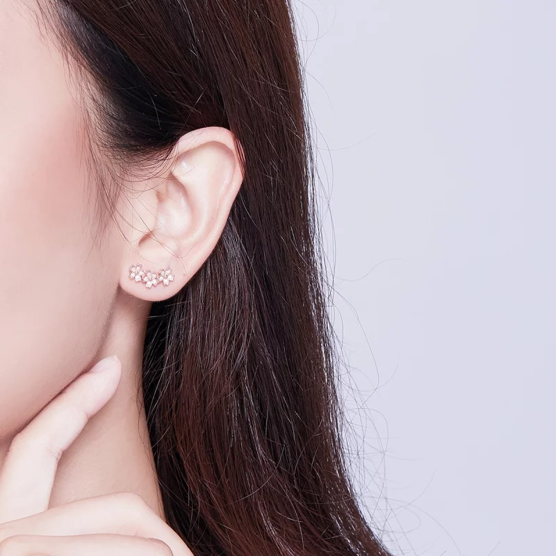 (image pour) Clous d'Oreilles Style PANDORA Marguerite contractée - SCE419-C - Afficher 6