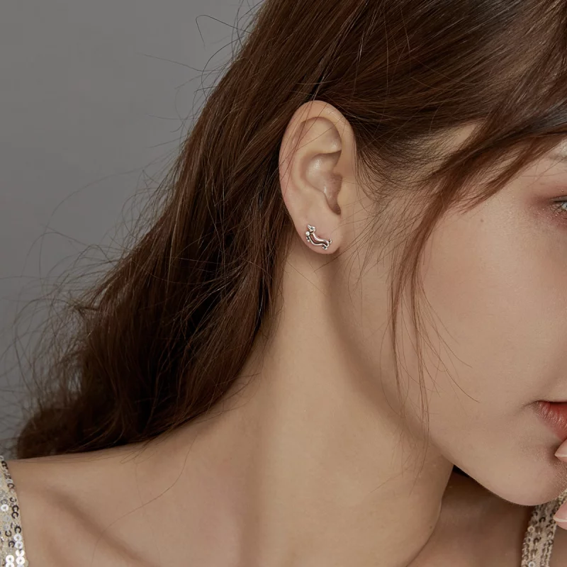 (image pour) Clous d'Oreilles Style PANDORA Teckel - SCE952 - Afficher 8