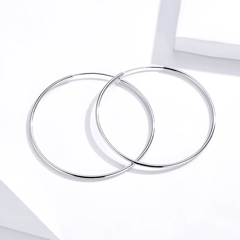 (image pour) Créoles Style PANDORA Ligne simple - SCE711 - Afficher 2