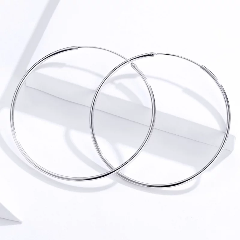 (image pour) Créoles Style PANDORA Ligne simple - SCE711 - Afficher 3