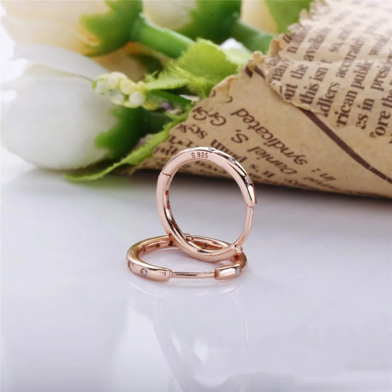 (image pour) Moments de la vie, PANDORA RoseMC et cz incolore - 286244CZ - Boucles d’oreilles - Afficher 2