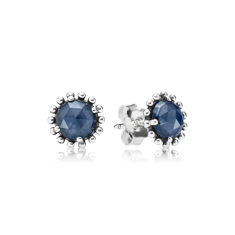 (image pour) PANDORA - Boucles d'Oreilles Clous - 290561NBC
