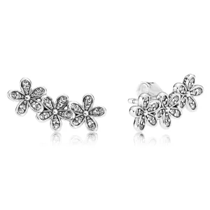 (image pour) PANDORA - Clous d'Oreilles Bouquets de Marguerites éblouissantes - 290744CZ