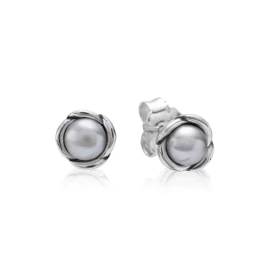 (image pour) PANDORA - Clous d'Oreilles Fleurs - 290157GP