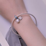 Style Pandora Profitez de la vie des tortues de mer Pendentif Charm - SCC2506