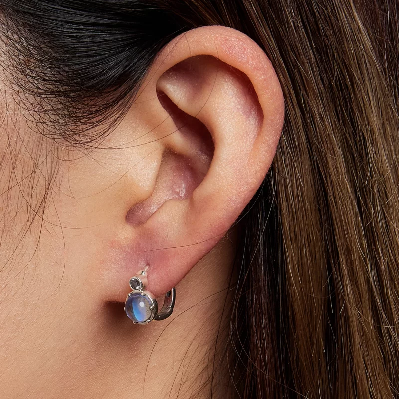 (image pour) Boucles d'oreilles à anneaux de style Pandora Simple Symphony - SCE1411 - Afficher 5
