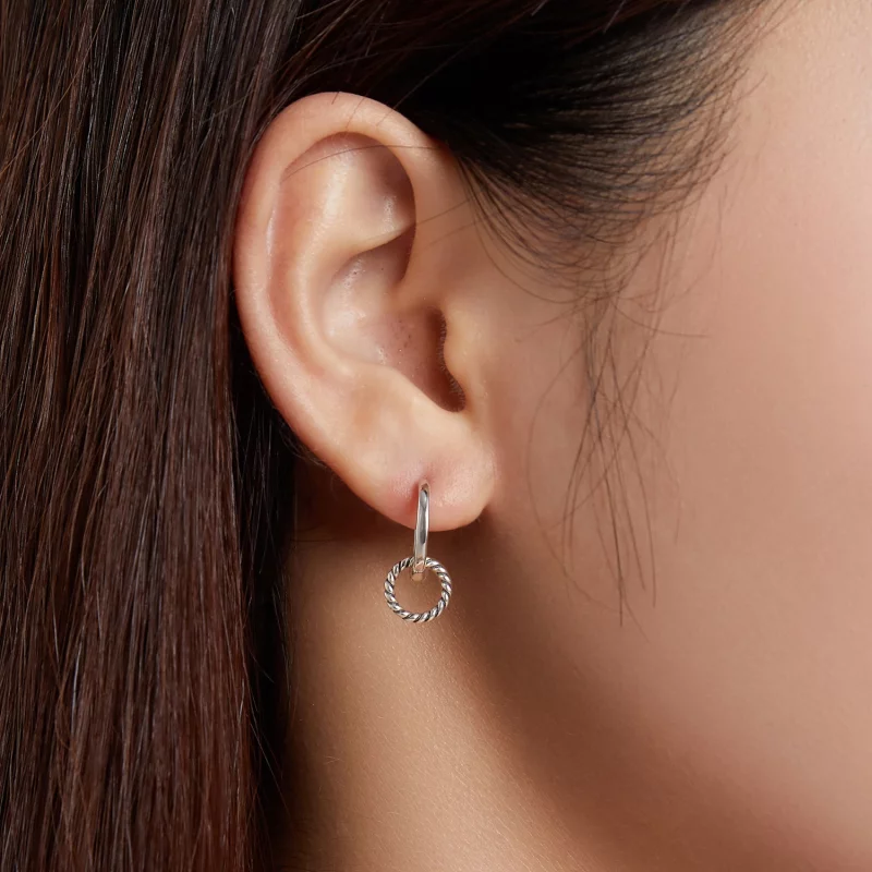 (image pour) Boucles d'oreilles à anneaux Shuanghuan de style Pandora - SCE1199 - Afficher 5