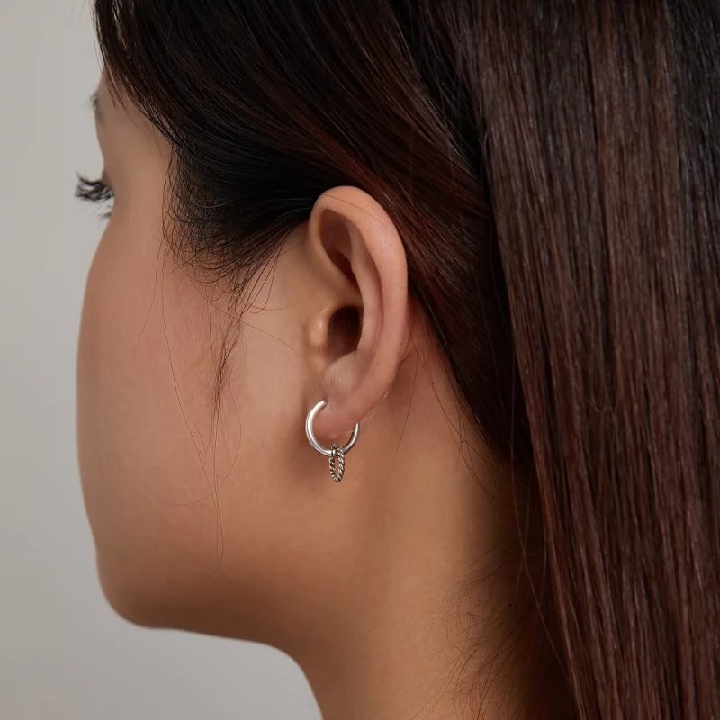 (image pour) Boucles d'oreilles à anneaux Shuanghuan de style Pandora - SCE1199 - Afficher 7