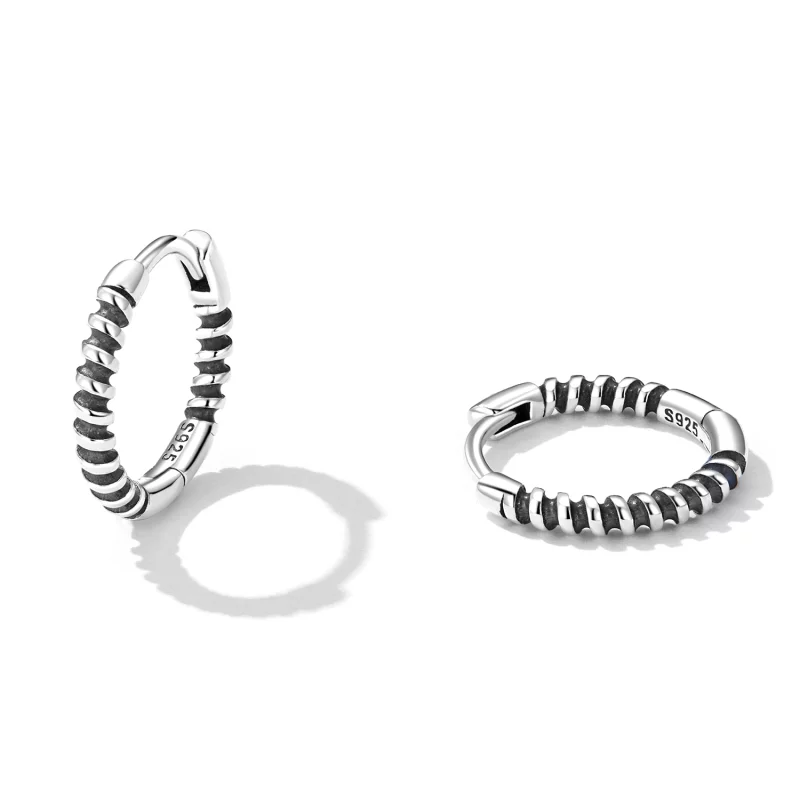 (image pour) Boucles d'oreilles à anneaux simples de style Pandora - SCE1423 - Afficher 2