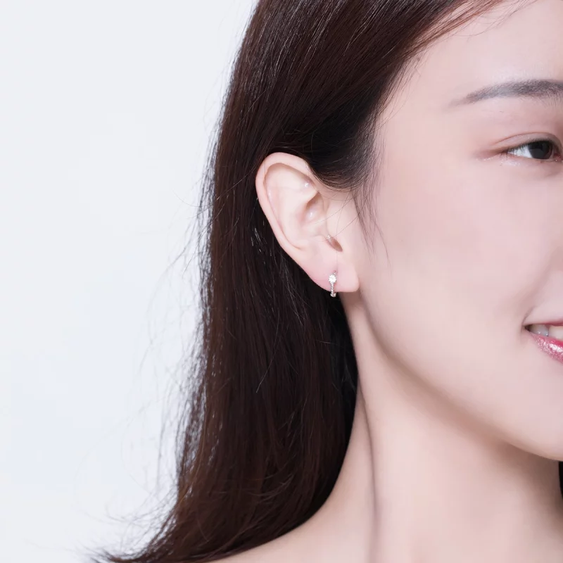 (image pour) Boucles d'oreilles à anneaux style Pandora Love - BSE194 - Afficher 6