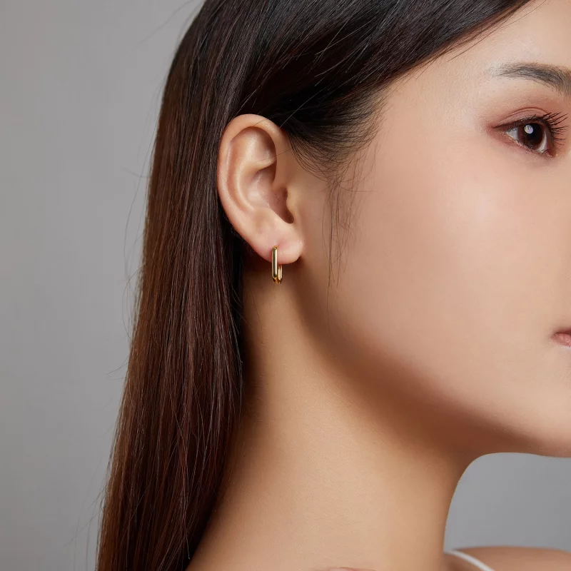 (image pour) Boucles d'oreilles à créoles de style Pandora - BSE478-B - Afficher 5