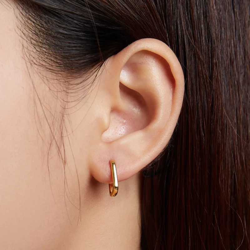 (image pour) Boucles d'oreilles à créoles de style Pandora - BSE478-B - Afficher 6