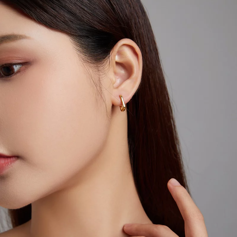 (image pour) Boucles d'oreilles à créoles de style Pandora - BSE478-B - Afficher 7