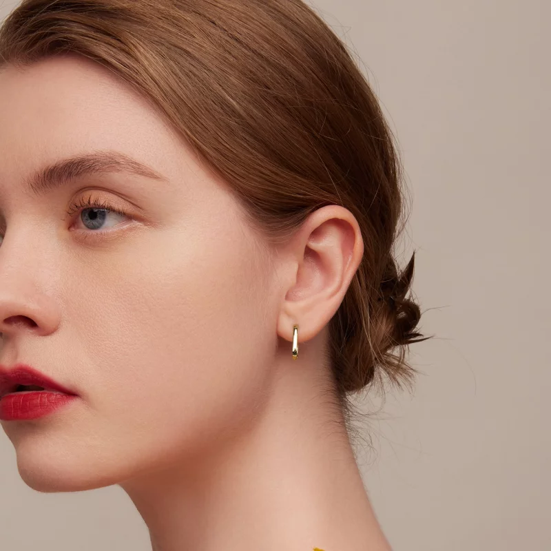 (image pour) Boucles d'oreilles à créoles de style Pandora - BSE478-B - Afficher 10