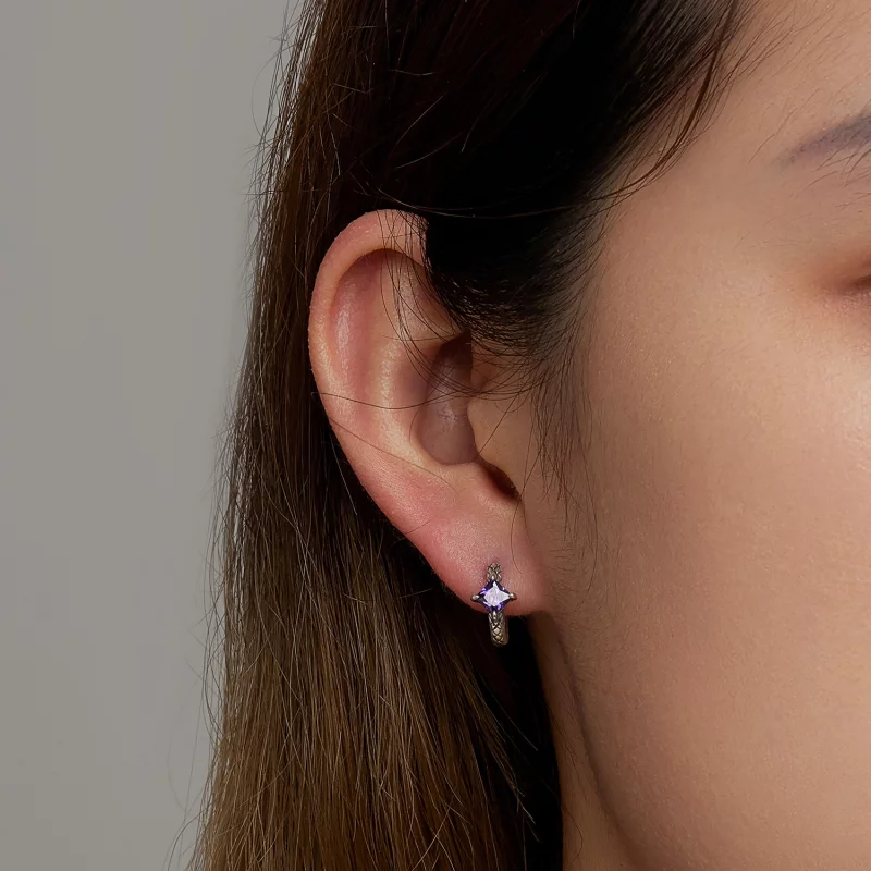 (image pour) Boucles d'oreilles à créoles en style Pandora avec motif serpent en zircone - SC - Afficher 6