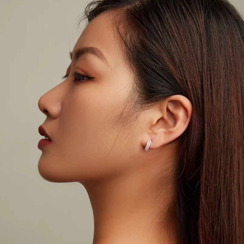 (image pour) Boucles d'oreilles créoles en zircon raffiné de style Pandora - BSE730 - Afficher 7