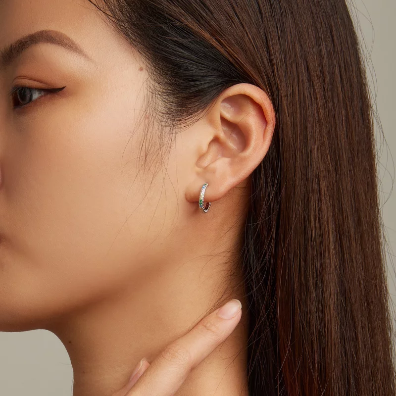(image pour) Boucles d'oreilles créoles en zirconium de style Pandora avec motif coloré - BSE - Afficher 5
