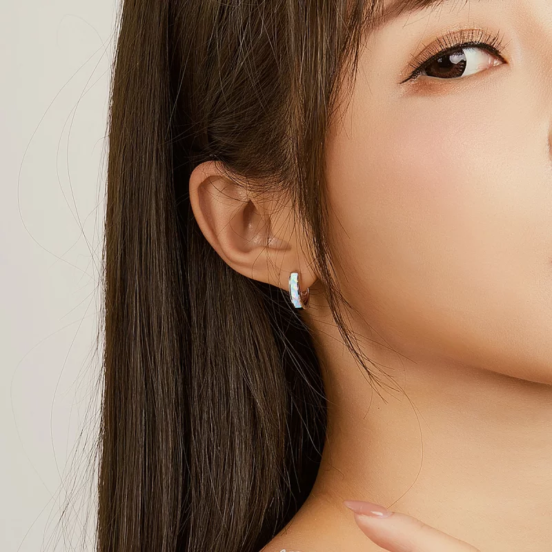 (image pour) Boucles d'oreilles créoles simples en style Pandora avec opale - SCE861 - Afficher 6