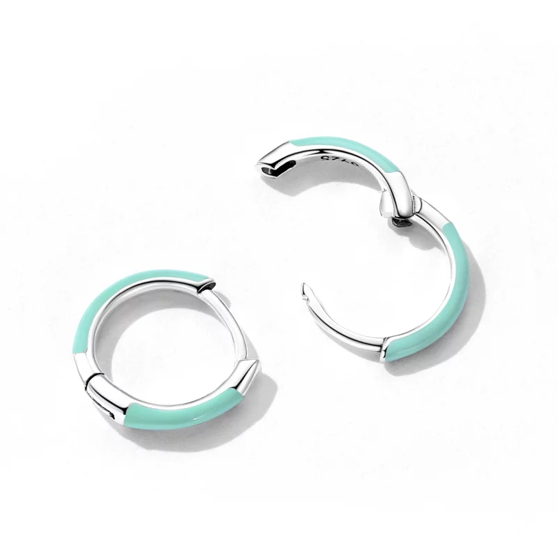 (image pour) Boucles d'oreilles à double cercle de style Pandora - SCE1454 - Afficher 4
