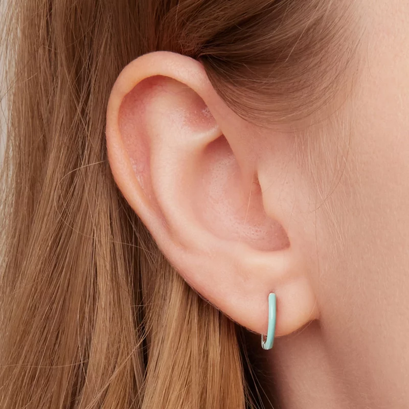 (image pour) Boucles d'oreilles à double cercle de style Pandora - SCE1454 - Afficher 5