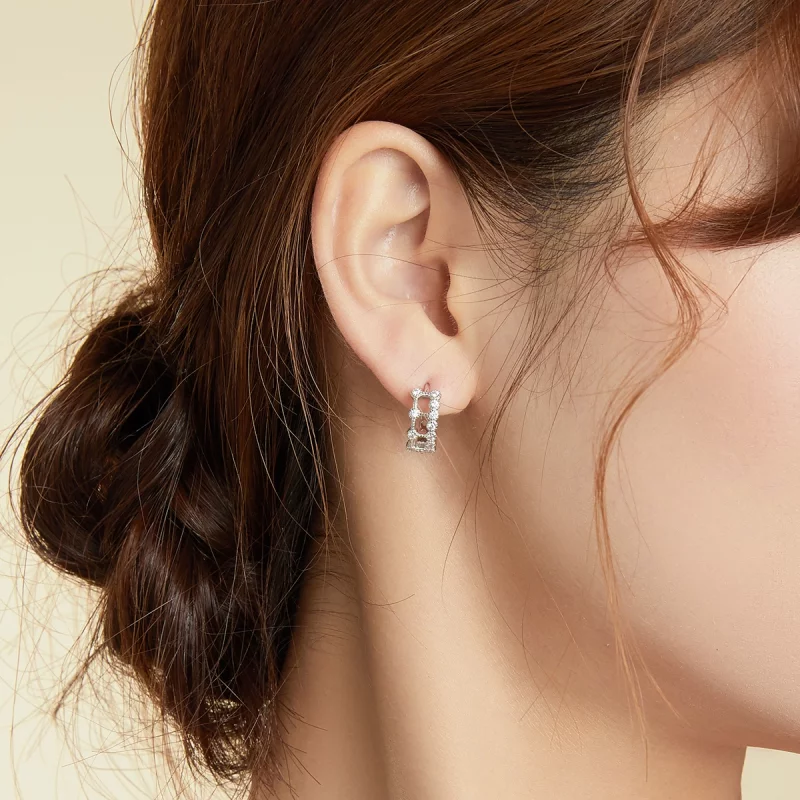 (image pour) Boucles d'oreilles à double couche de style Pandora - BSE458 - Afficher 7