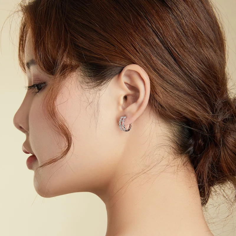 (image pour) Boucles d'oreilles à double couche de style Pandora - BSE458 - Afficher 8