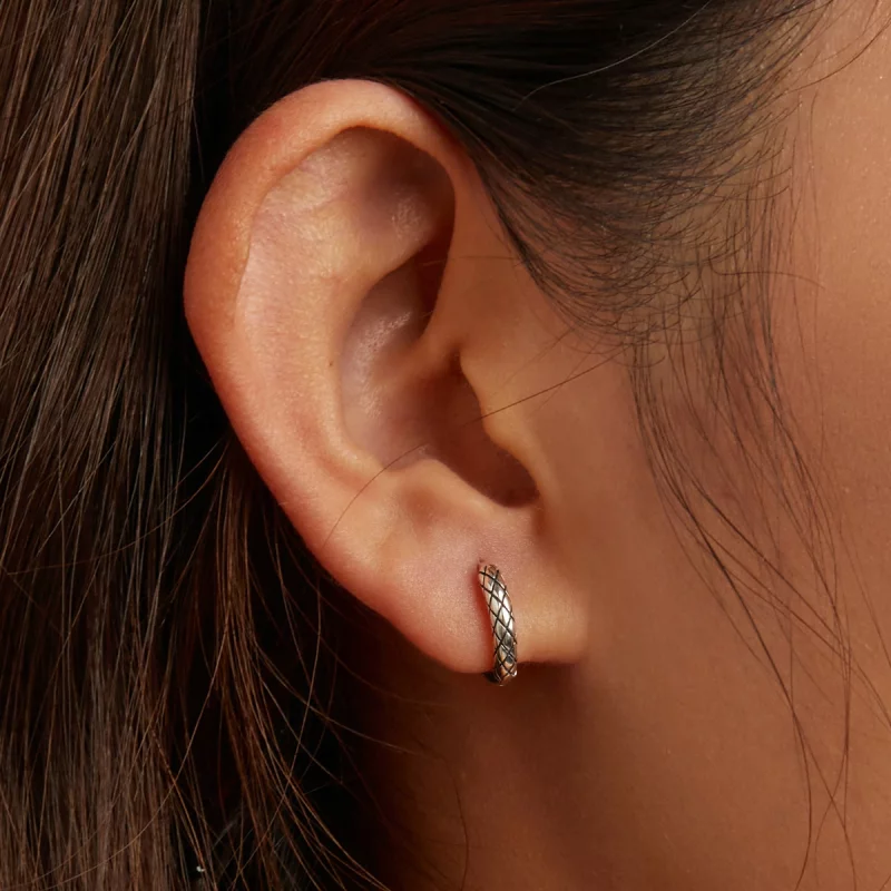 (image pour) Boucles d'oreilles en forme de cercle avec motif serpent de style Pandora - SCE1 - Afficher 5